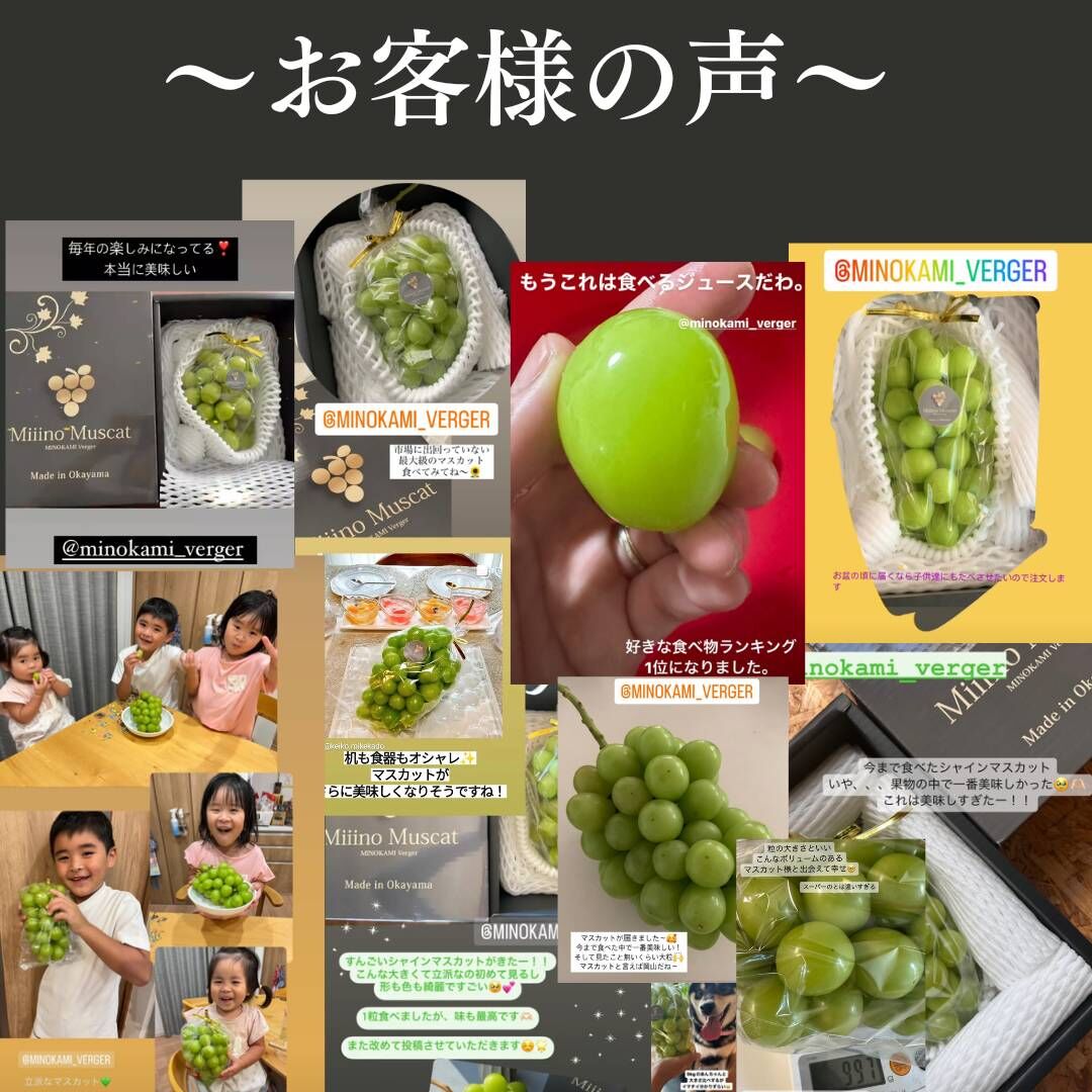🔷贈答用【数量限定】 シャインマスカット 2房 【1房900g～1.2