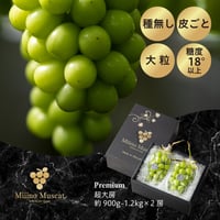 【数量限定】 MiiinoMuscatPremium　2房　【1房900ｇ～1.2㎏】