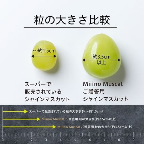 MiiinoMuscat　1房　【1房約800ｇ以上】