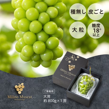 シャインマスカットページ シャインマスカットゼリーBOX｜500円～799円｜ノベルティ