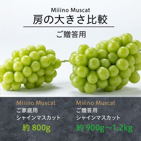 【数量限定】 MiiinoMuscatPremium　1房　【1房900ｇ～1.2㎏】