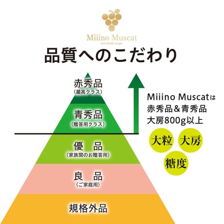 MiiinoMuscat　1房　【1房約800ｇ以上】