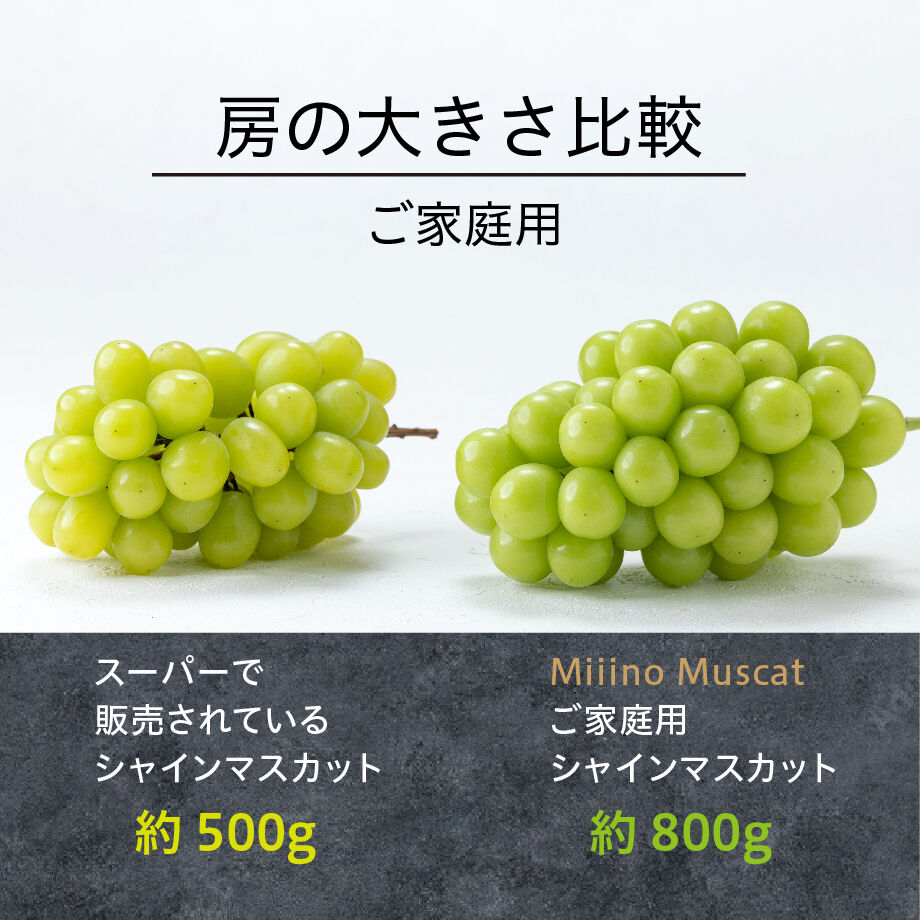 64e1b190e37f74003845ddbc