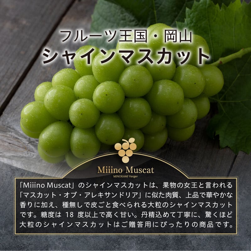 シャインマスカット様 リクエスト 2点 まとめ商品 shinemuscut-02.jpg?v=1725677276