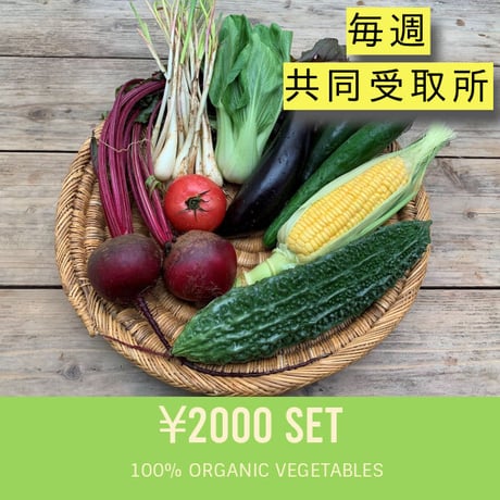 【毎週・共同受取】 2000円セット：ベジんちゅ有機野菜定期購入
