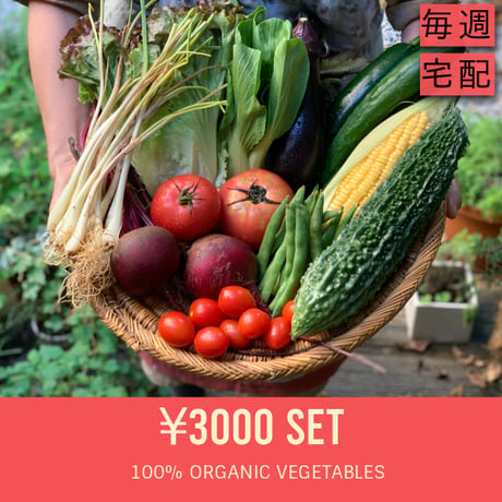 【毎週・宅配】3000円セット：ベジんちゅ有機野菜定期購入