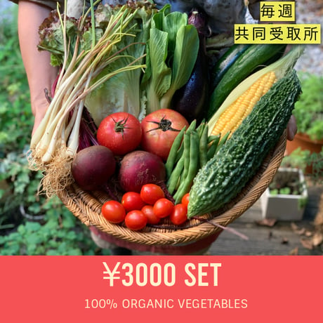【毎週・共同受取】3000円セット：ベジんちゅ有機野菜定期購入