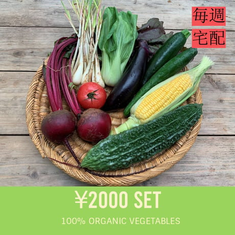 【毎週・宅配】2000円セット：ベジんちゅ有機野菜定期購入