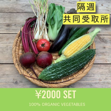 【隔週・共同受取】 2000円セット：ベジんちゅ有機野菜定期購入