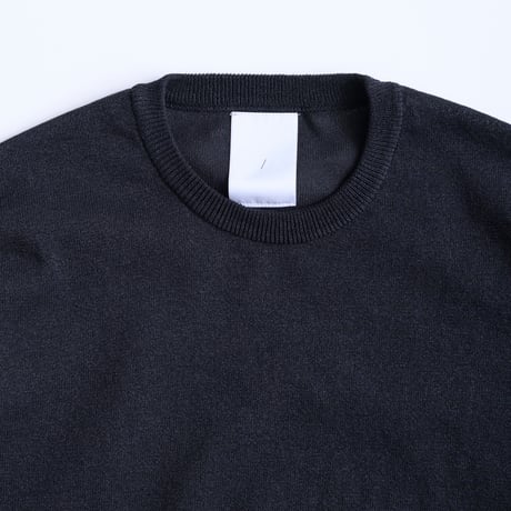 Sheer Washi Crew Neck Knit "Dennis"