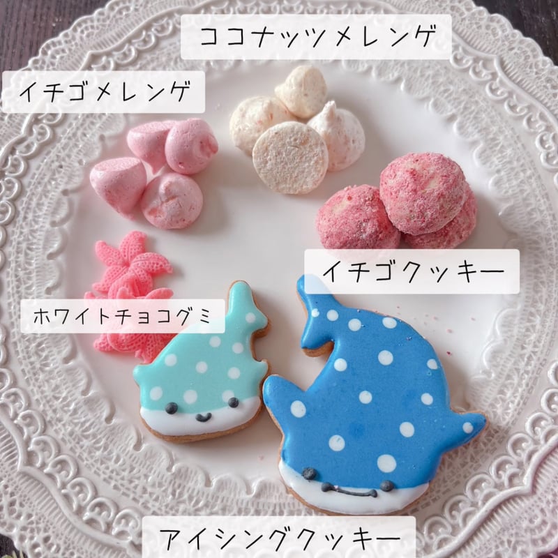 ジンベイザメクッキー缶 | BlueBee