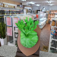 ビカクシダフィギュア　台座付き