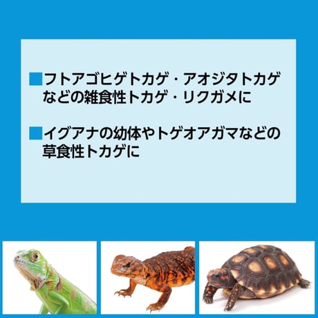 RepDeli カルシウムペースト 乳酸菌プラス