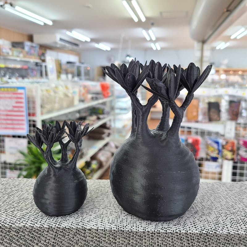 グラキリスフィギュアB ブラック Mサイズ | NATURE'S STORE