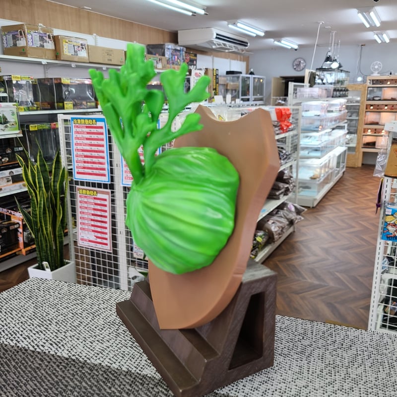 ビカクシカ　フィギュア ビカクシダフィギュア 台座付き | NATURE'S STORE