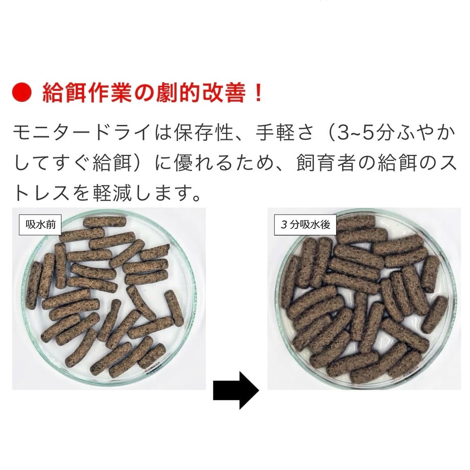 67cac28656e39cb75c007e83