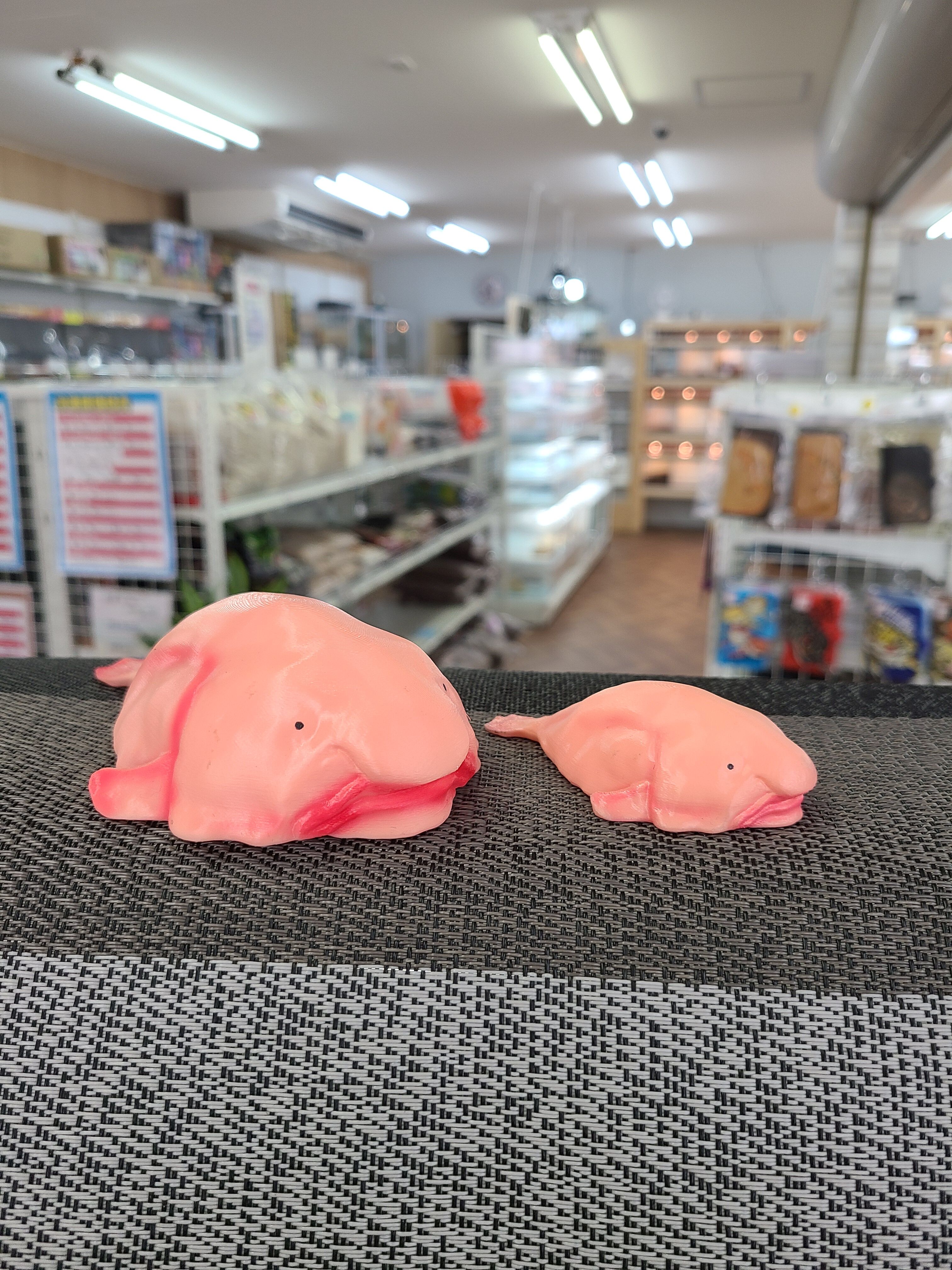 ブロブフィッシュフィギュア Sサイズ | NATURE'S STORE