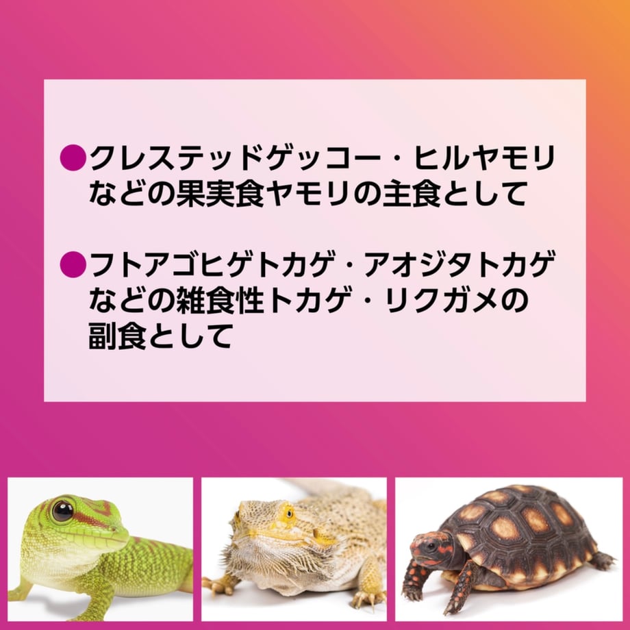 67bee981519201034d7d90e5