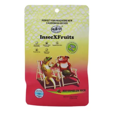 フィリグリー　クレステッド クレステッドゲッコー | ファニーテール | 大阪の爬虫類ショップ