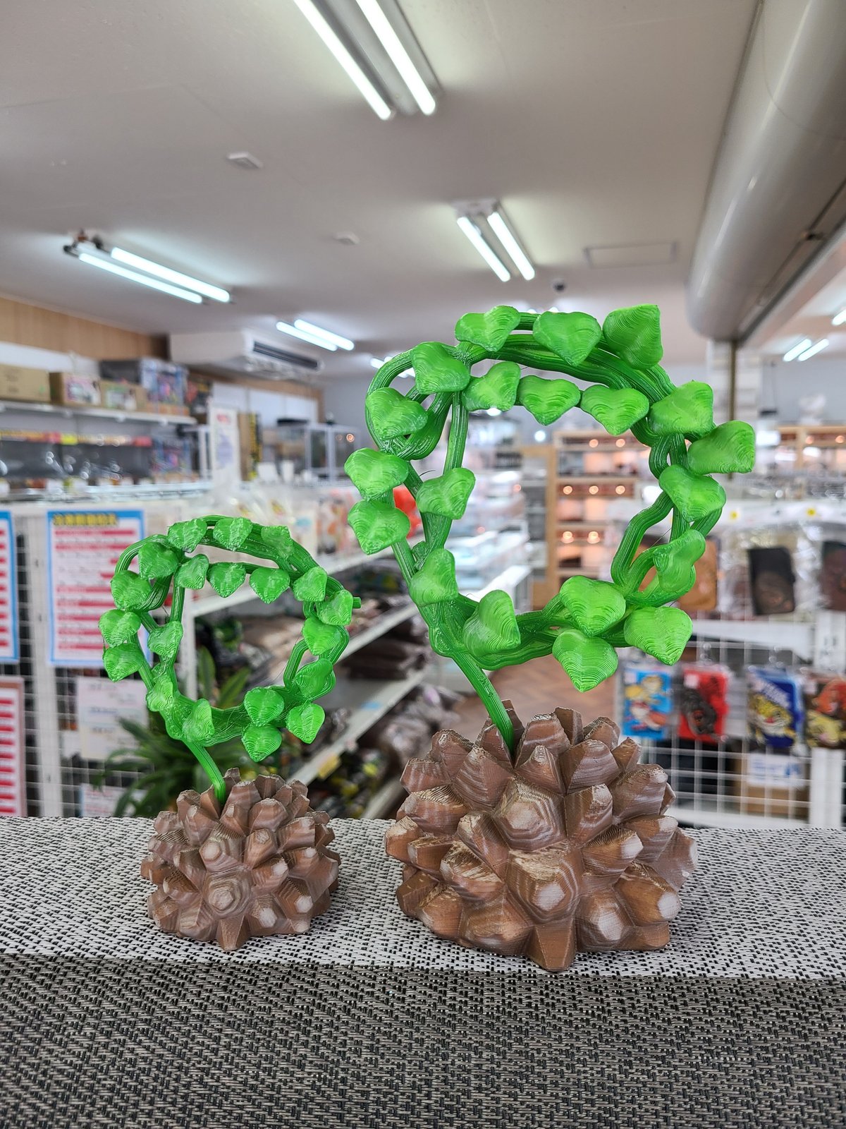 亀甲竜　パキプス　フィギュア fit=scale-down,w=1200