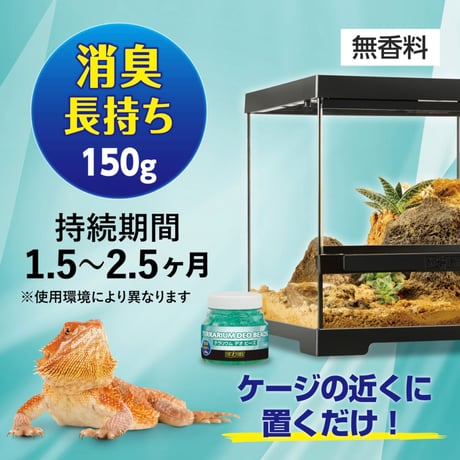テラリウム デオ ビーズ