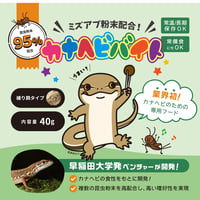 カナヘビバイト 40g
