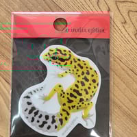 frog tree 麟核　天火　畳台付き FrogTree 麟核 天火 frog tree 麟核 天火 畳台付き Frog Tree