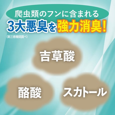 テラリウム デオ ビーズ