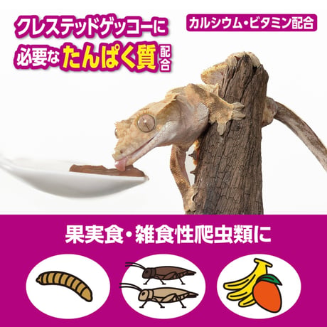 RepDeli フルーツ&バグペースト プロテインプラス