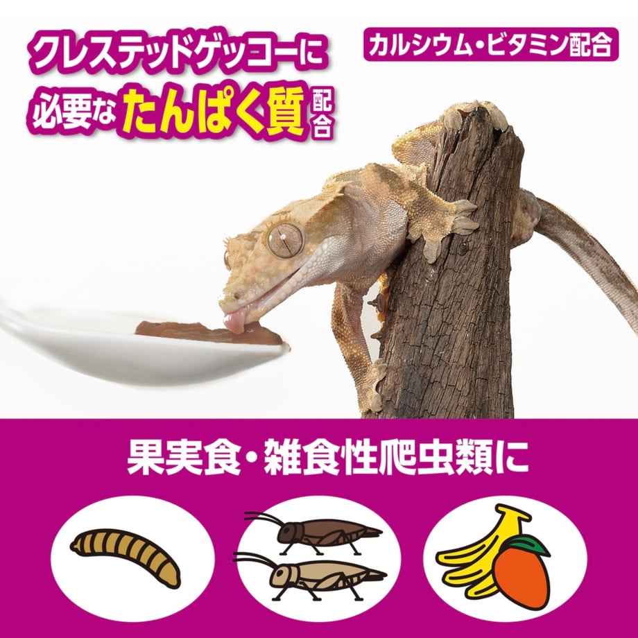 67bee981519201034d7d90e5