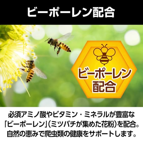 RepDeli カルシウムペースト 乳酸菌プラス