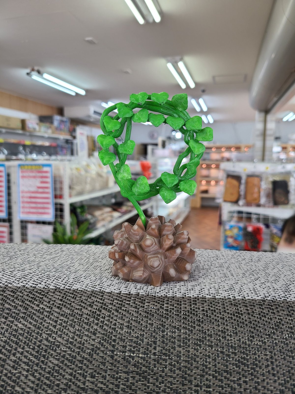 亀甲竜フィギュア 丸型 Sサイズ | NATURE'S STORE