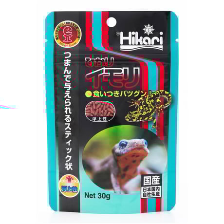 岸本ウラチ　シリケンイモリ Amazon.co.jp: 岸本ウラチ シリケンイモリ 魚 ヤマトビ 沖縄