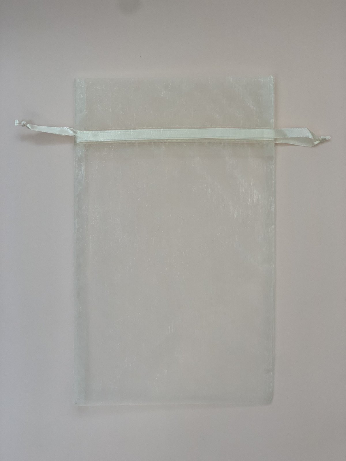 オーガンジーバッグL オンライン専用 | manu online shop