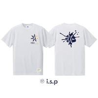 17 i.s.p  cotton