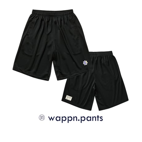 31 wappn.pants