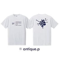 14 antique.p