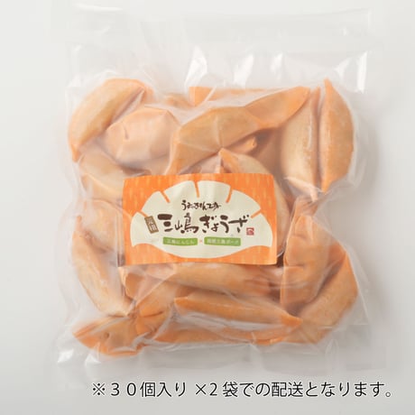 元祖三嶋ぎょうざ　60個入り