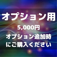 【オプション用】5,000円（オプション追加時にご購入ください）