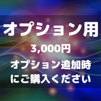 【オプション用】3,000円（オプション追加時にご購入ください）