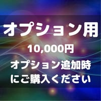 【オプション用】10,000円（オプション追加時にご購入ください）