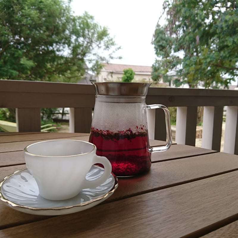 ティーサーバー Simply HARIO | Myrtillecot ONLINE STORE