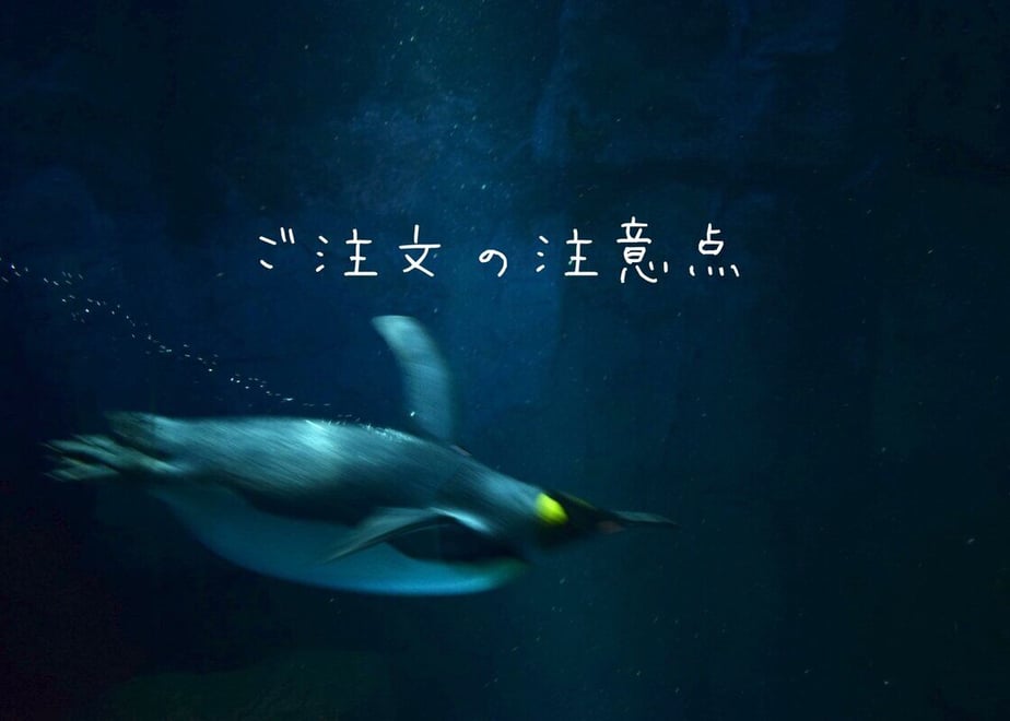 6215e960e8592662ec2e40c2