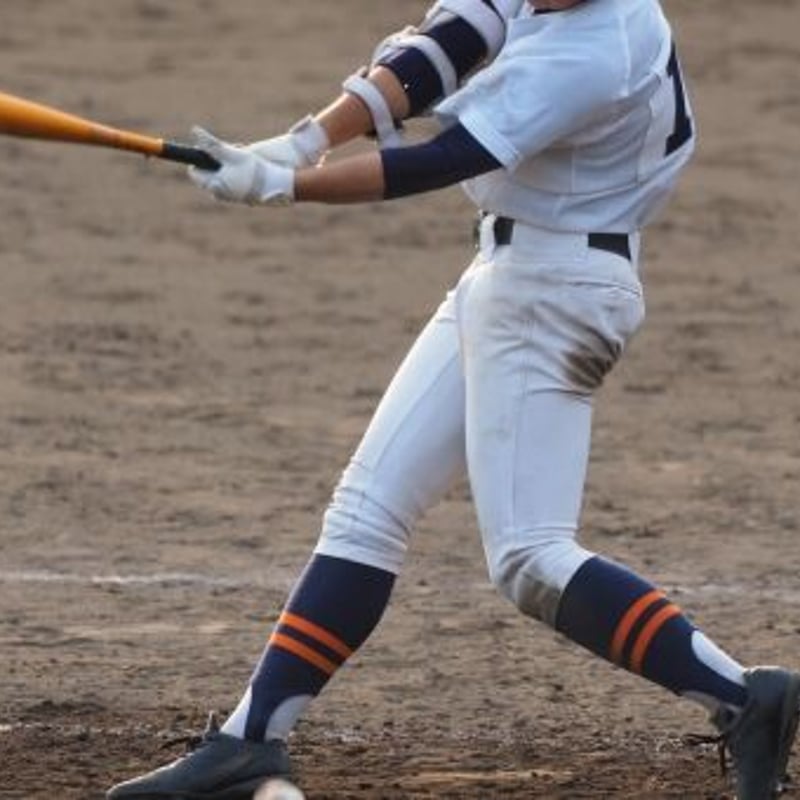 AbilityTrainer サイクロイドスラッガー》 | earthcoloreshop