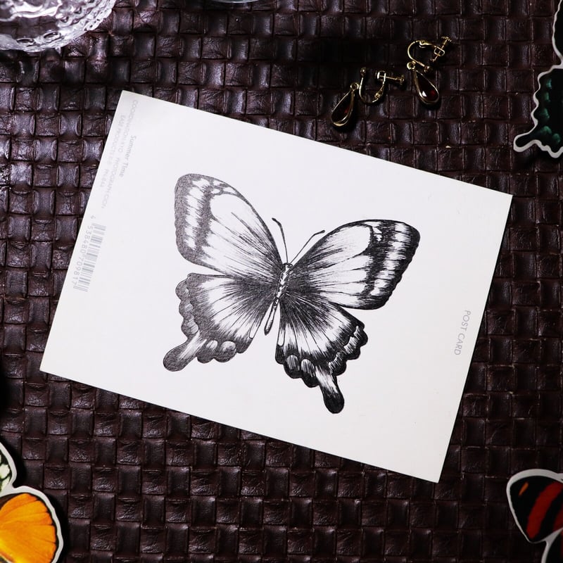 蝶イラスト | LilyDesign STORE