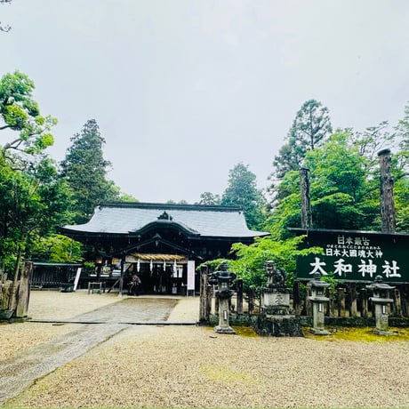 【9/3(火)参加  Cブロック】チケット＋サコッシュ＋バケハ ＋11/21 大和神社