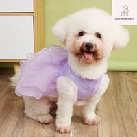愛犬用カラードレス