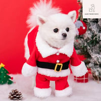 愛犬用サンタコスプレ