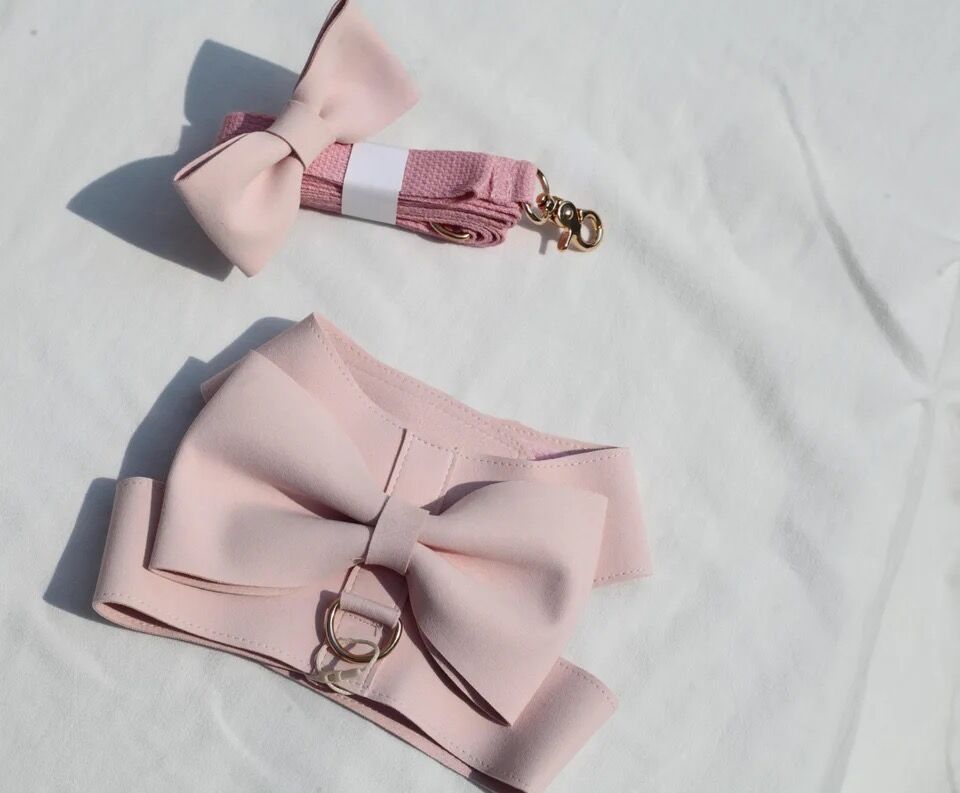 リボンハーネス♡ リボンハーネス・リード付 | DAISY TRUNK TOKYO