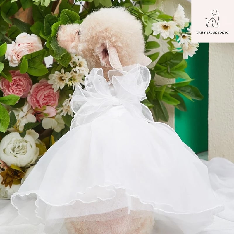 ウェディング フォトブース  ベーシック Amazon | イベント用ポータブルフォトブーステント